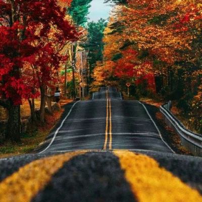 小球跑跑最新版(暂未上线)v1.0 安卓版
