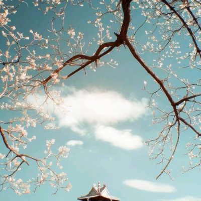 龙腾起源破解版下载